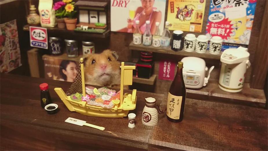 日本摄影师为自己的宠物仓鼠们打造了迷你日本酒吧